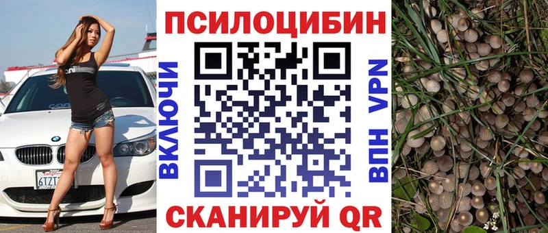 Псилоцибиновые грибы прущие грибы  купить   Чердынь 
